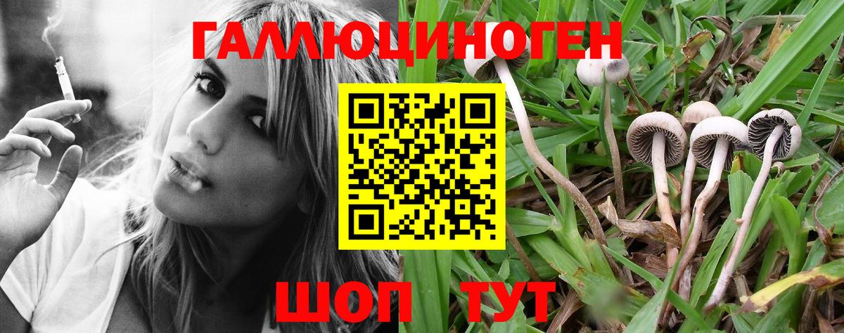 Сегежа  Галлюциногенные грибы GOLDEN TEACHER  Вход с VPN 
